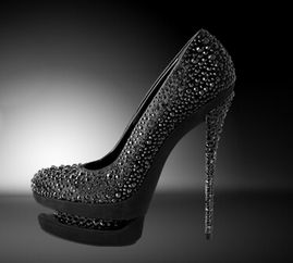 真典女鞋加盟 真典女鞋加盟多少錢(qián) 真典女鞋連鎖加盟店